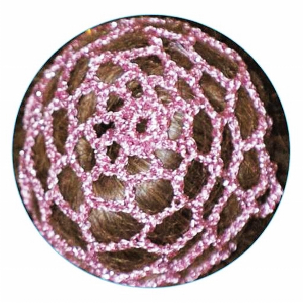 Elastik Haarnetz Pastorelli Chignon Rosa Art. 00786